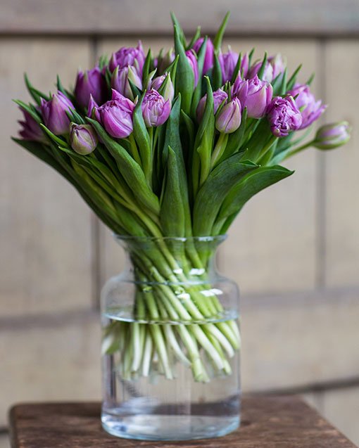 
                      
                        Subscription Flowers - Tulips
                      
                    