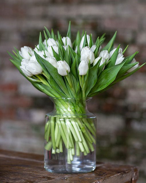 
                      
                        Subscription Flowers - Tulips
                      
                    