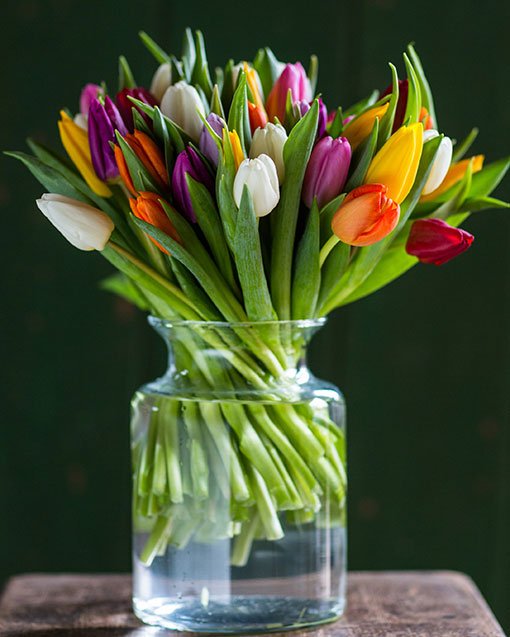 Subscription Flowers - Tulips