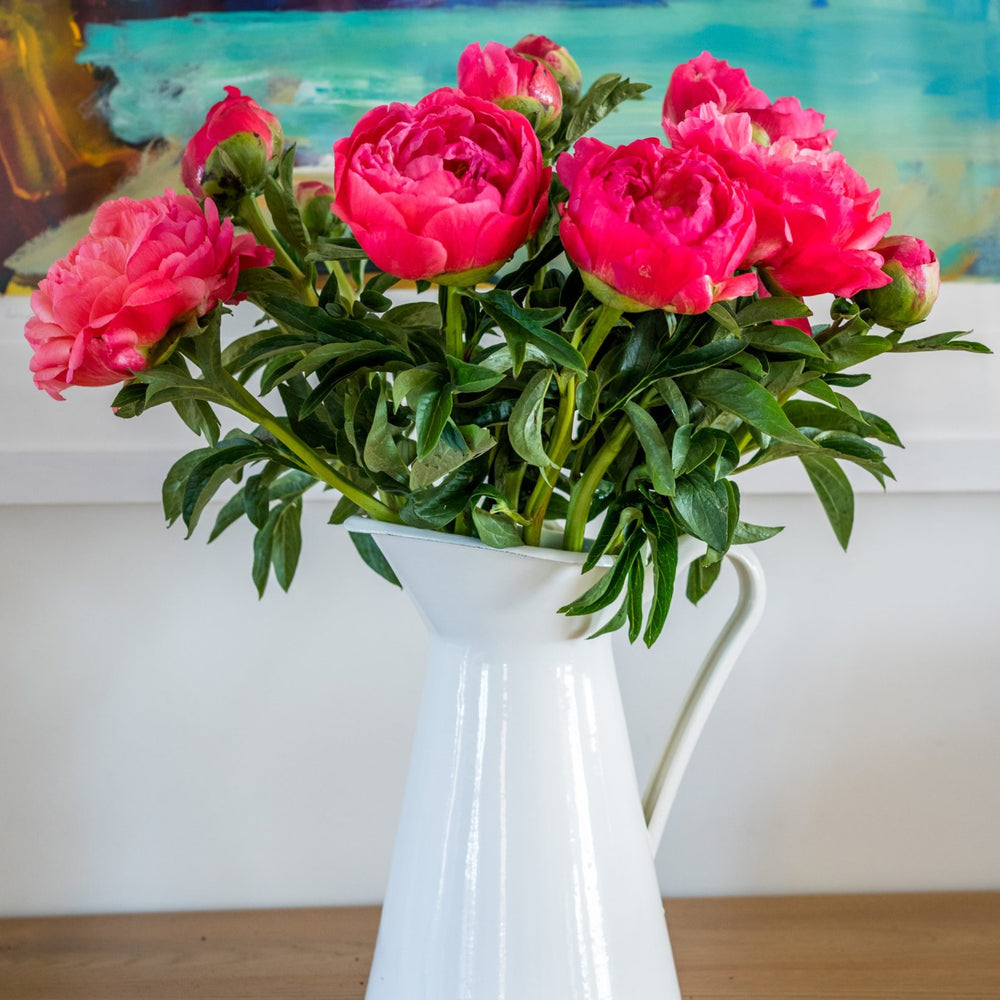 
                      
                        10-8-Peonies-Coral-Charm-1638x2048-1
                      
                    