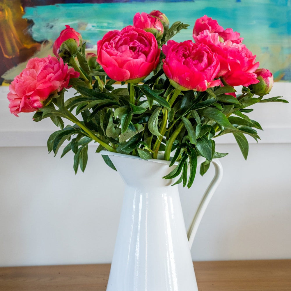 
                      
                        10-8 - Peonies - Coral Charm
                      
                    
