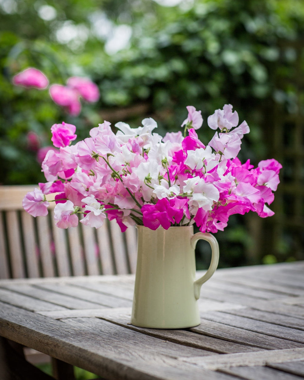 Subscription Flowers - Sweet Peas