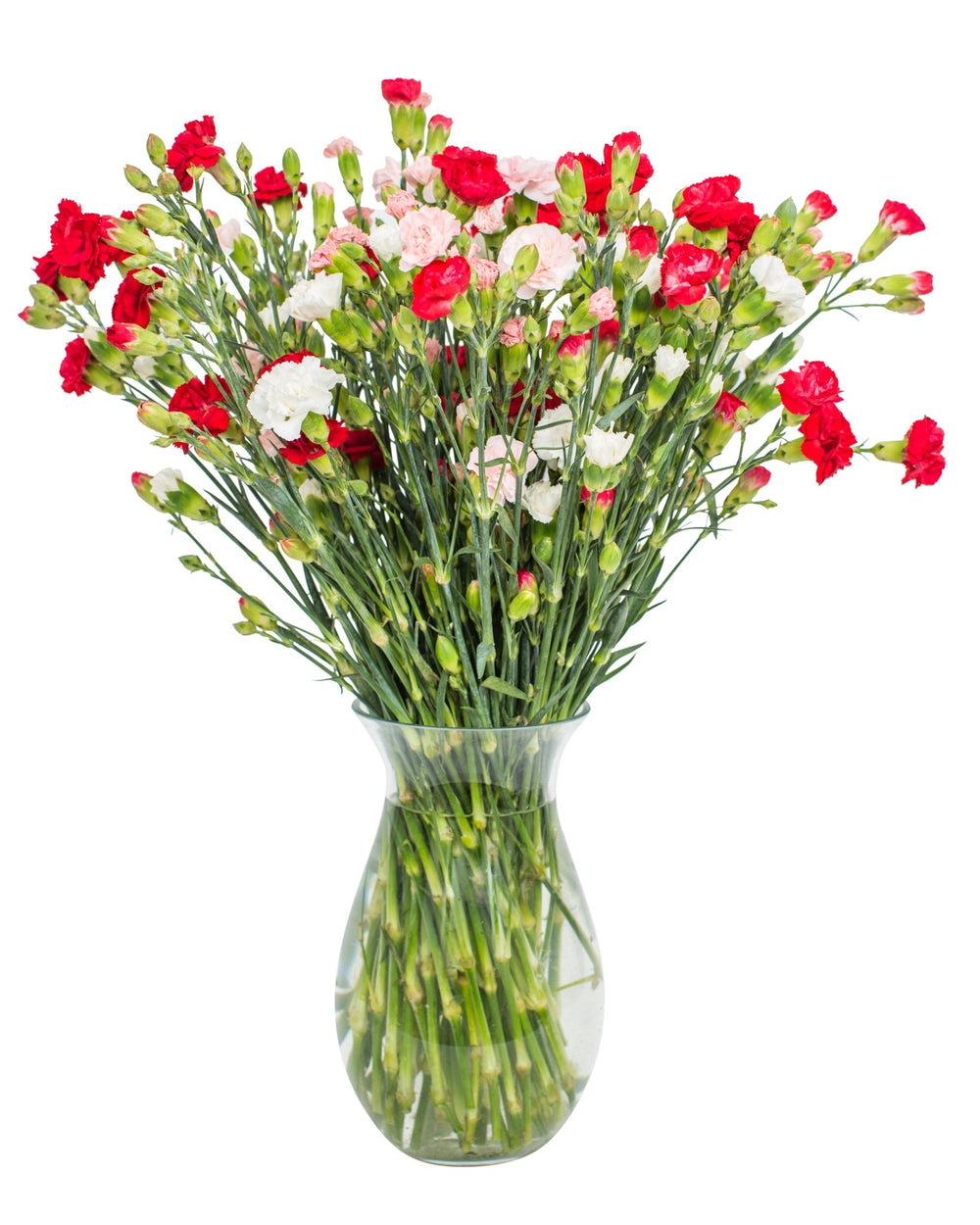 Carnations - Spray - Mixed