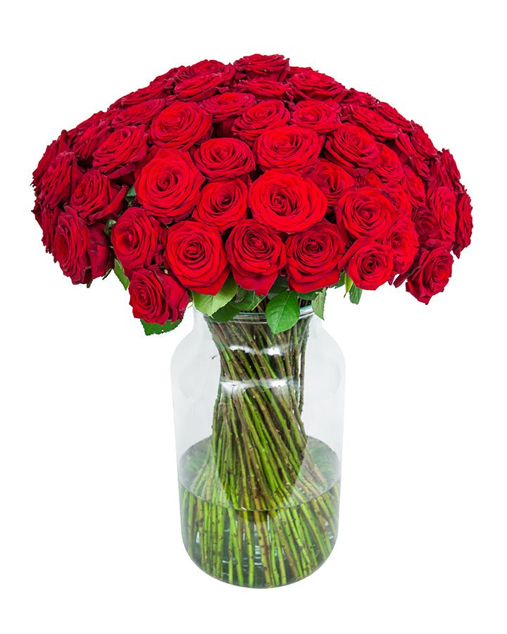 Roses - Long Stemmed - Red
