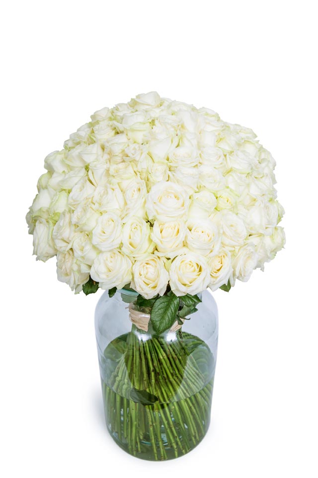 Roses - Long Stemmed - White