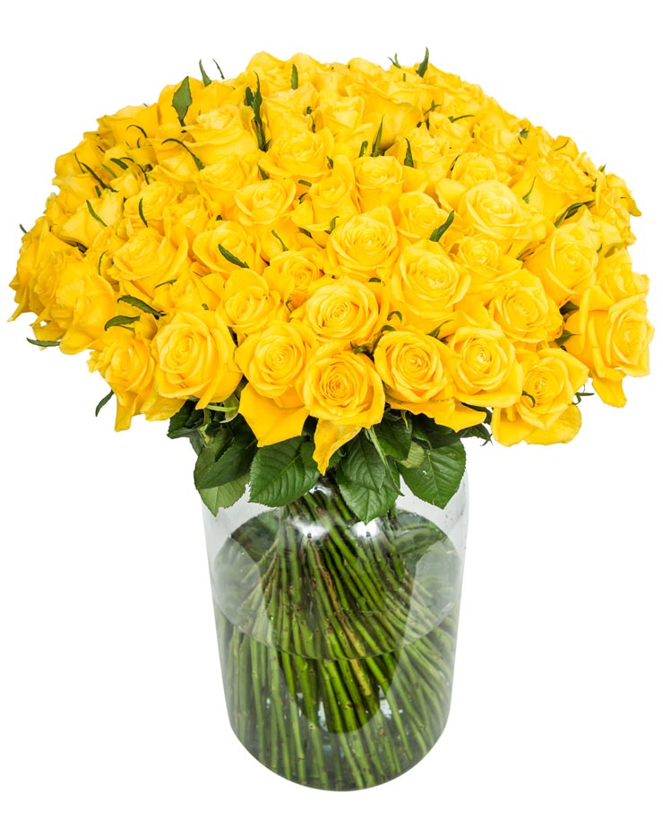 
                      
                        100-Yellow-Roses_V1
                      
                    