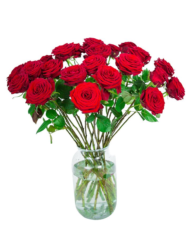 
                      
                        24 Red Roses
                      
                    