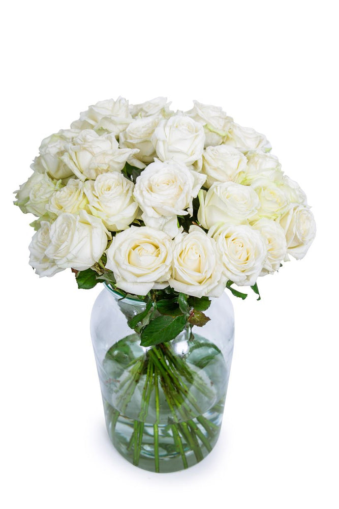 Send White Roses White Roses - Long Stemmed | Send White Roses | Flowers by Flourish