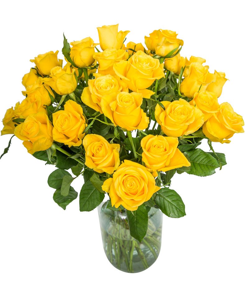 
                      
                        24-Yellow-Roses
                      
                    