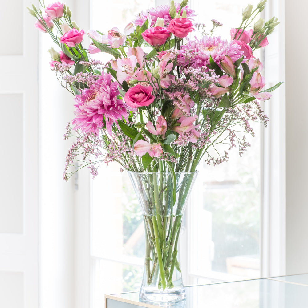 
                      
                        6 Months of Flowers
                      
                    