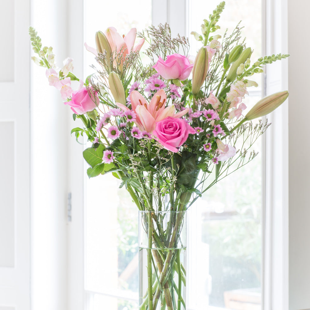 
                      
                        6 Months of Flowers
                      
                    