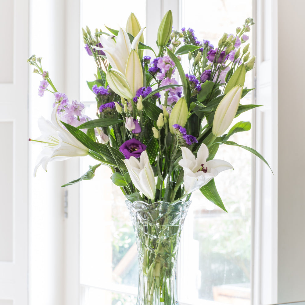 
                      
                        6 Months of Flowers
                      
                    