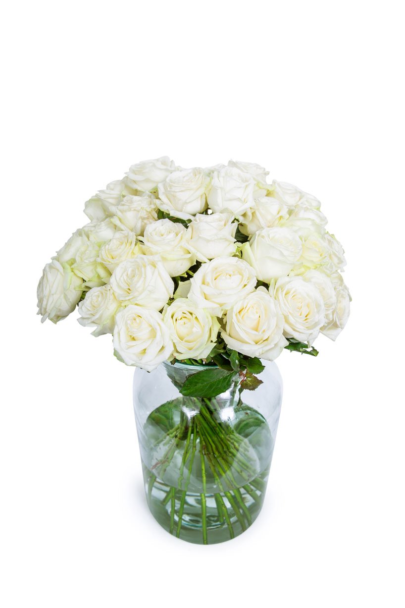 Send White Roses White Roses - Long Stemmed | Send White Roses | Flowers by Flourish