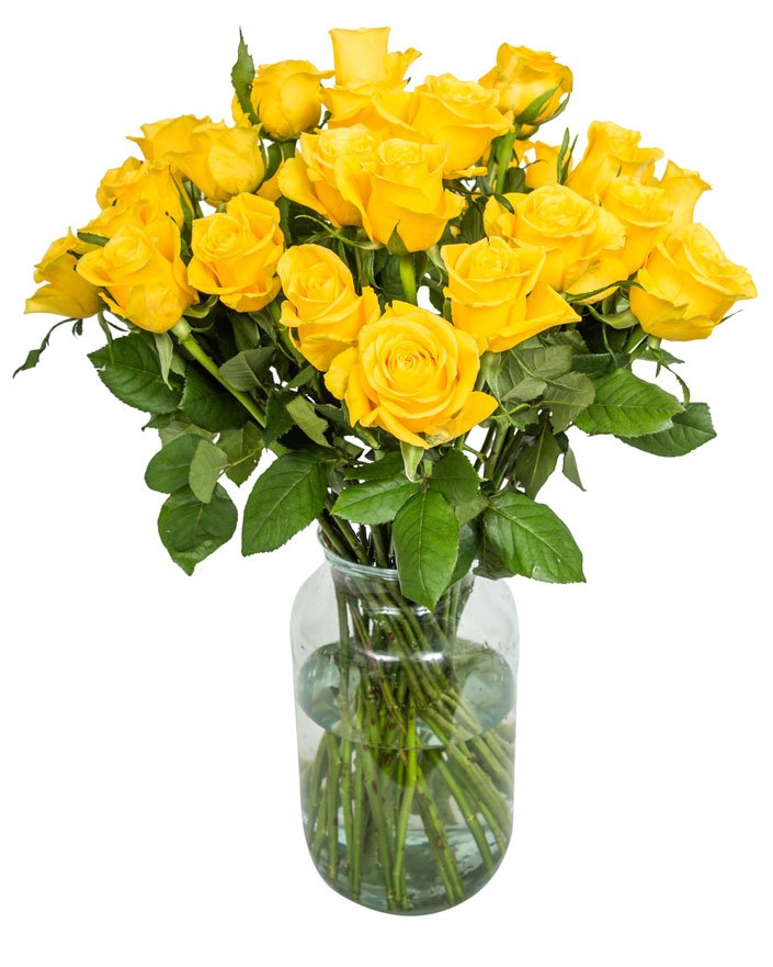 Roses - Long Stemmed - Yellow