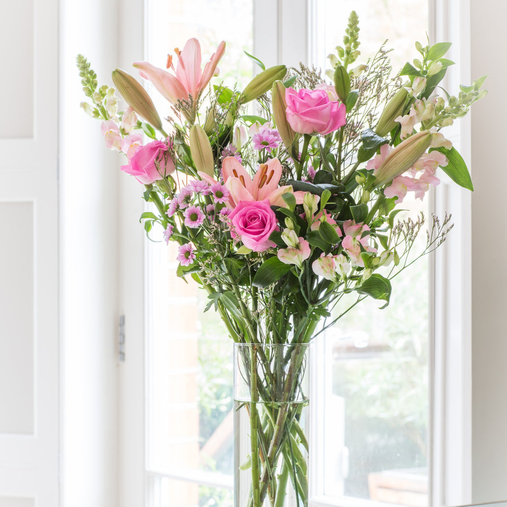 
                      
                        6 Months of Flowers
                      
                    