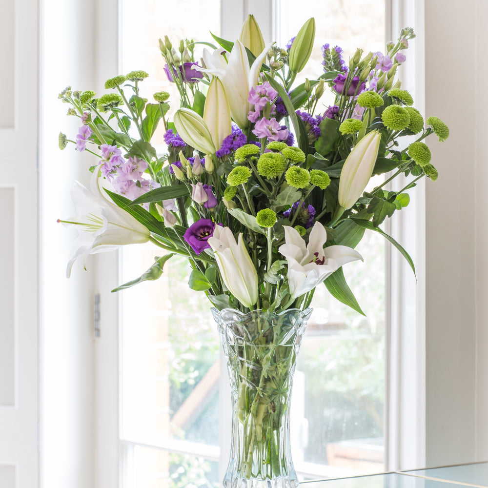 
                      
                        6 Months of Flowers
                      
                    