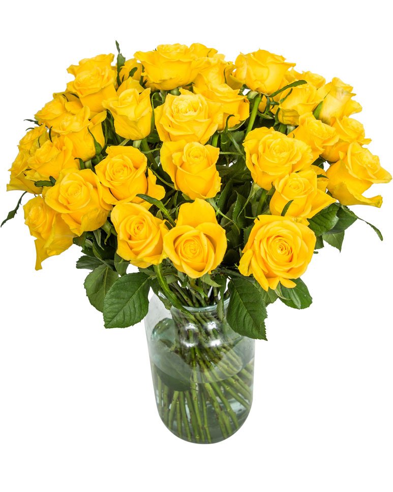 
                      
                        36-Yellow-Roses
                      
                    