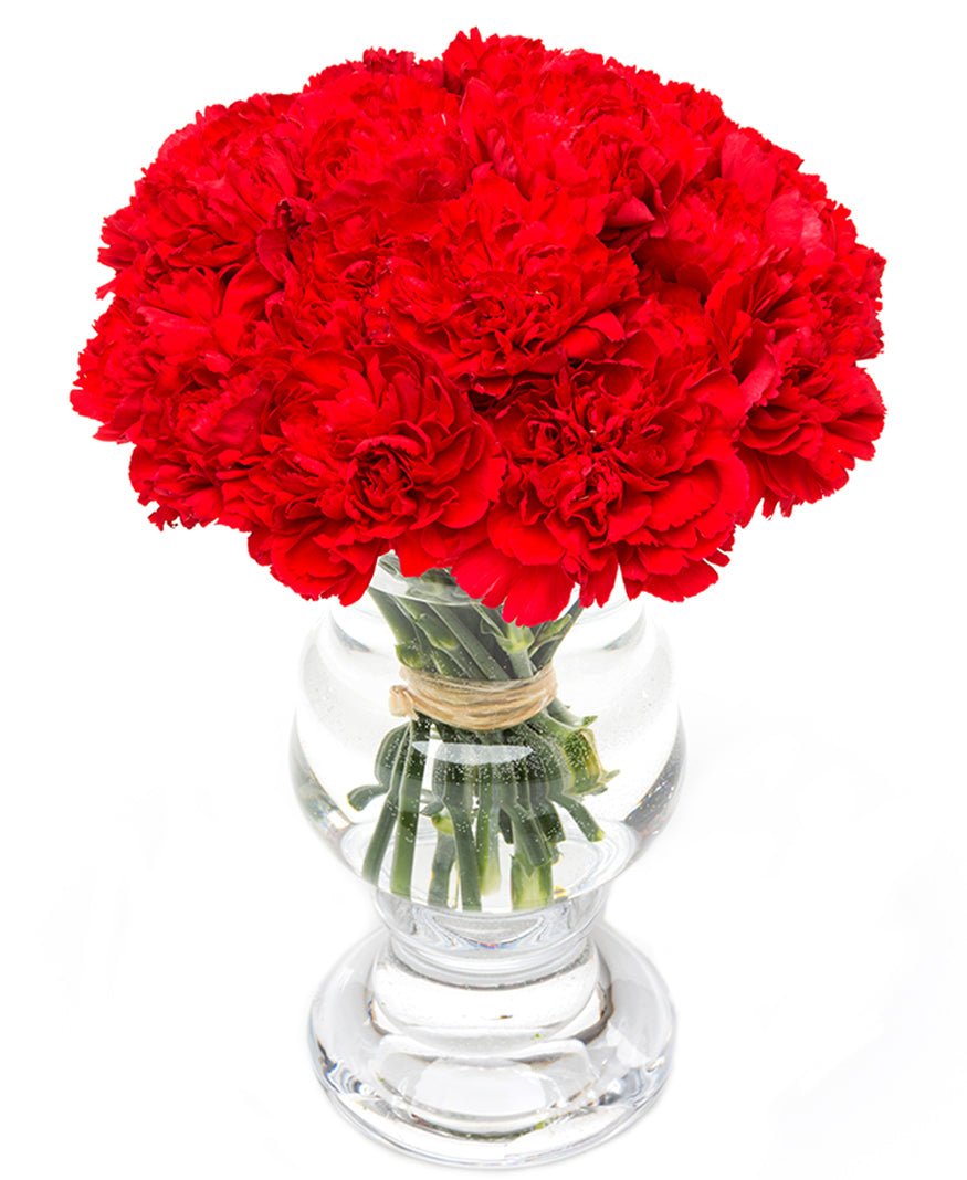 Subscription Flowers - Carnations