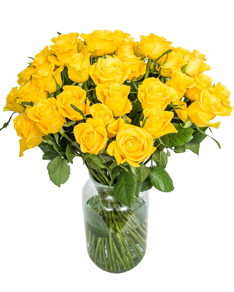 
                      
                        40-Yellow-Roses
                      
                    