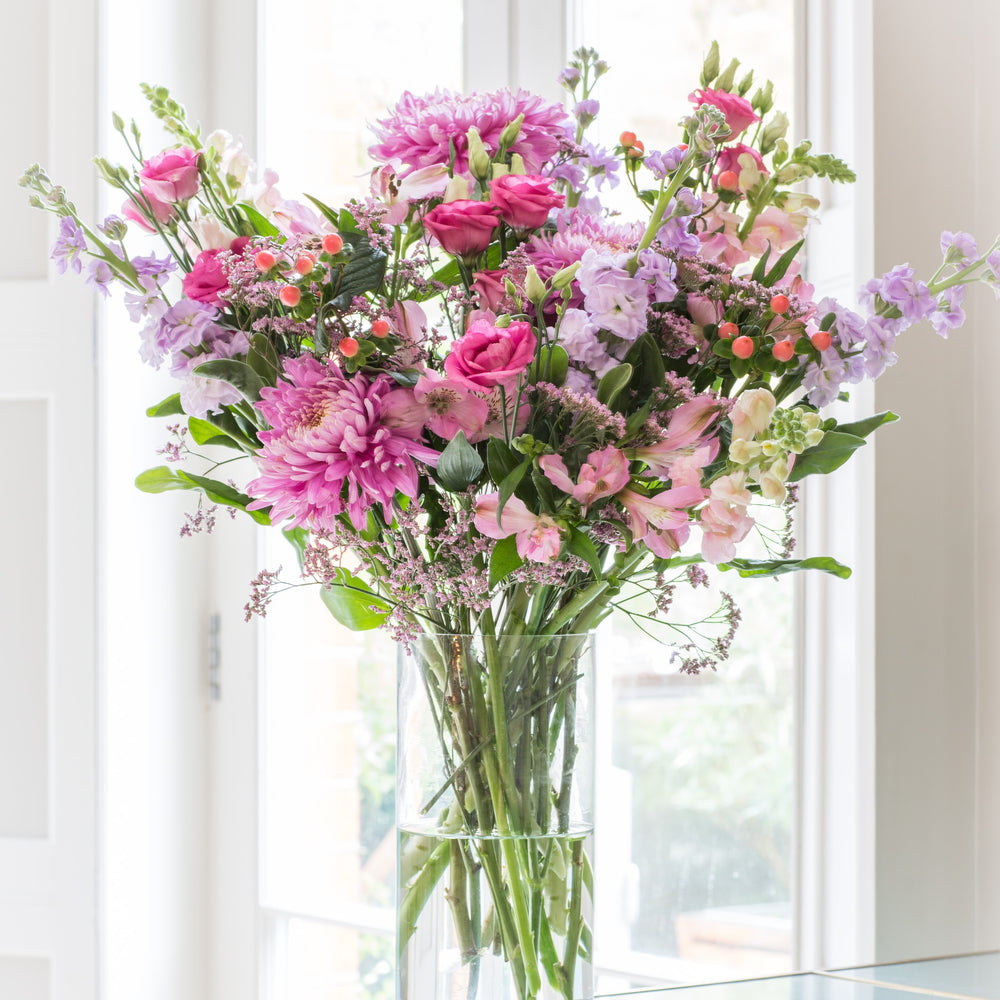 
                      
                        6 Months of Flowers
                      
                    