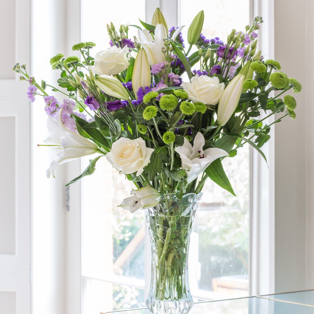 
                      
                        6 Months of Flowers
                      
                    