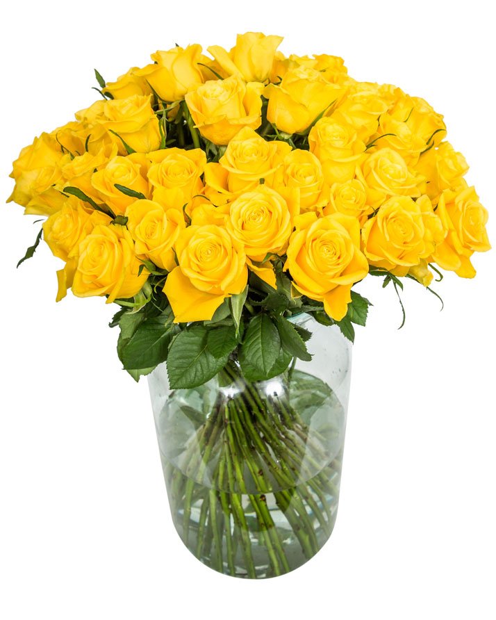 
                      
                        48-Yellow-Roses
                      
                    