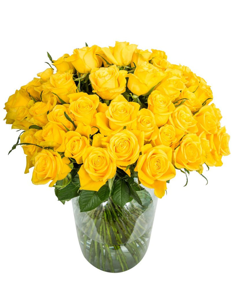 
                      
                        50-Yellow-Roses
                      
                    