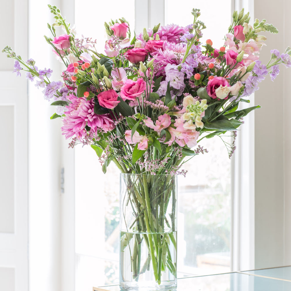 
                      
                        6 Months of Flowers
                      
                    