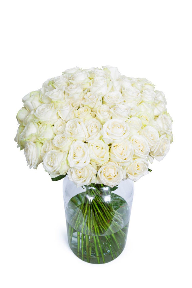 
                      
                        60-White-Roses
                      
                    