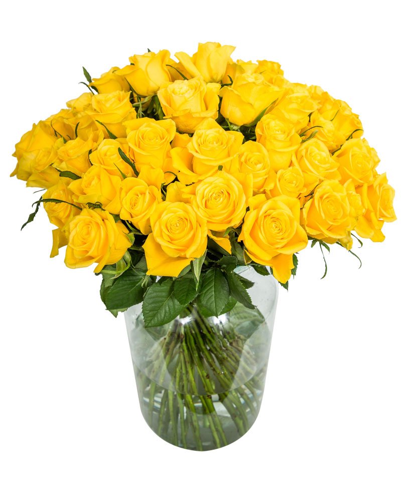 
                      
                        60-Yellow-Roses
                      
                    