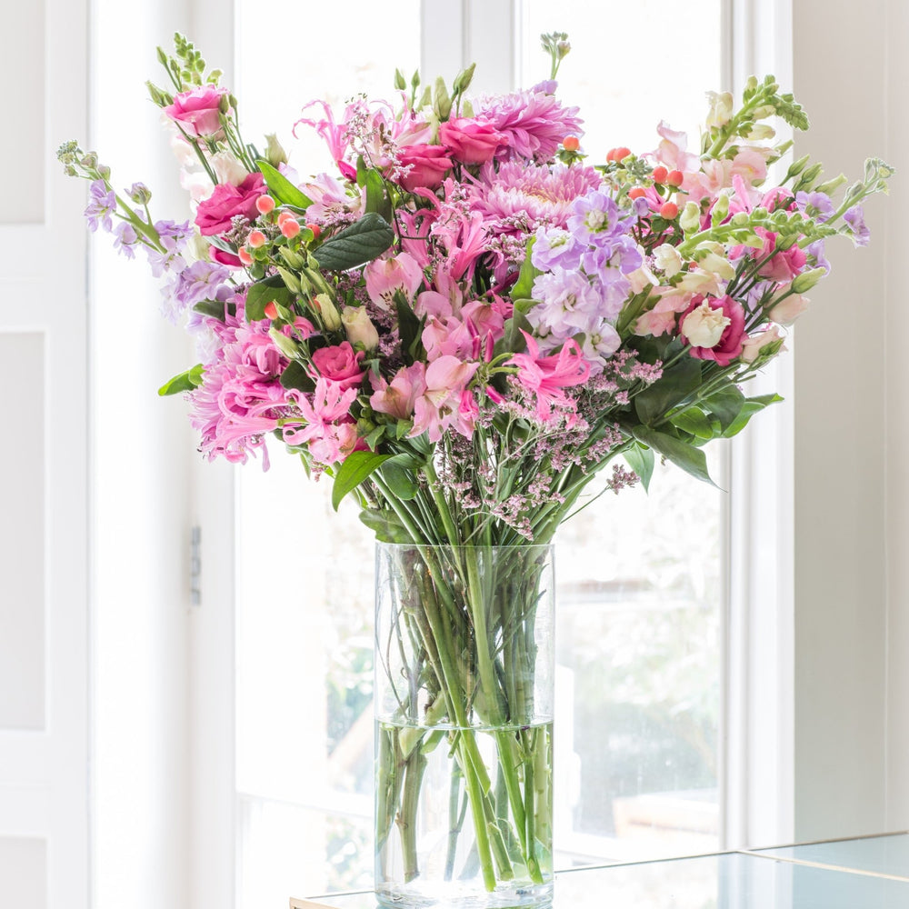 
                      
                        6 Months of Flowers
                      
                    