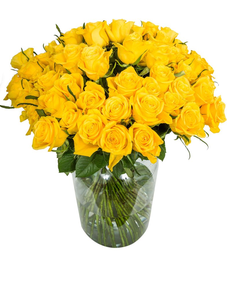 
                      
                        75-Yellow-Roses
                      
                    