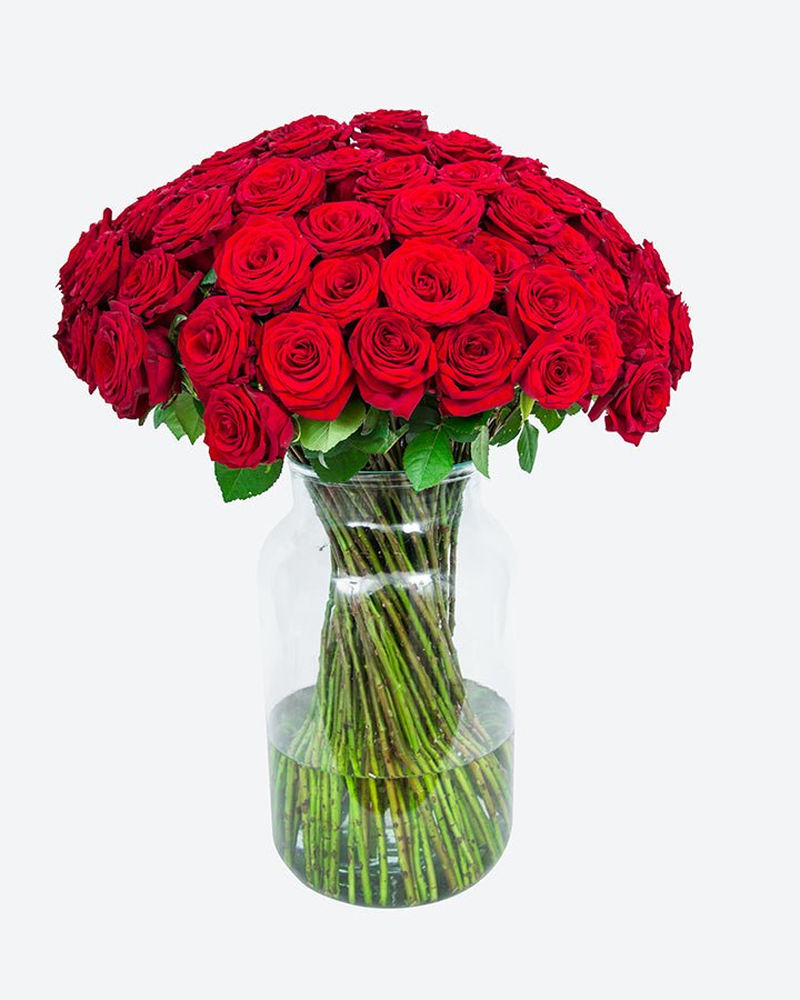 Red Roses - Long Stemmed | Send Red Roses | Flowers by Flourish