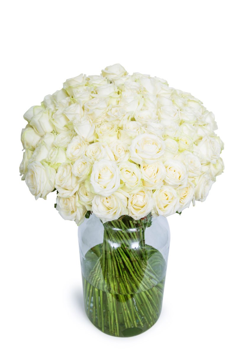 Send White Roses White Roses - Long Stemmed | Send White Roses | Flowers by Flourish