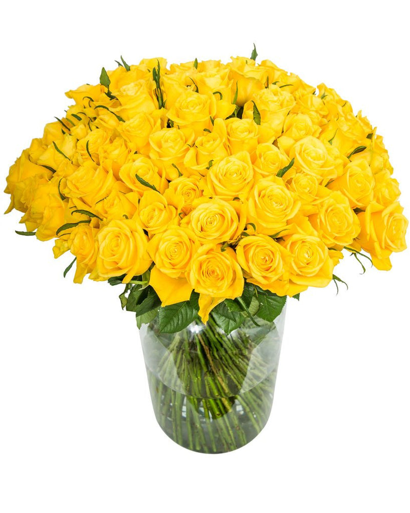 
                      
                        90-Yellow-Roses_V1
                      
                    