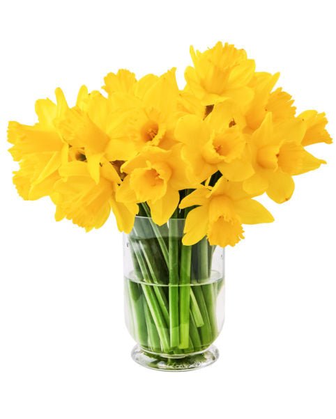 Yellow,Narcissus,Or,Daffodil,Bouquet,In,A,Glass,Vase,On