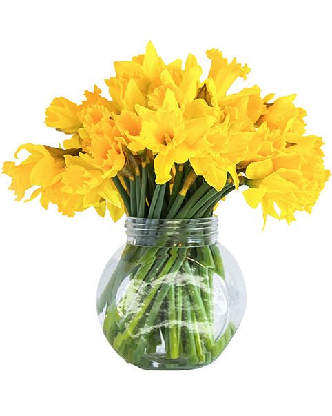 Beautiful,Bouquet,Of,Spring,Yellow,Narcisus,Flowers,In,Glass,Transparent