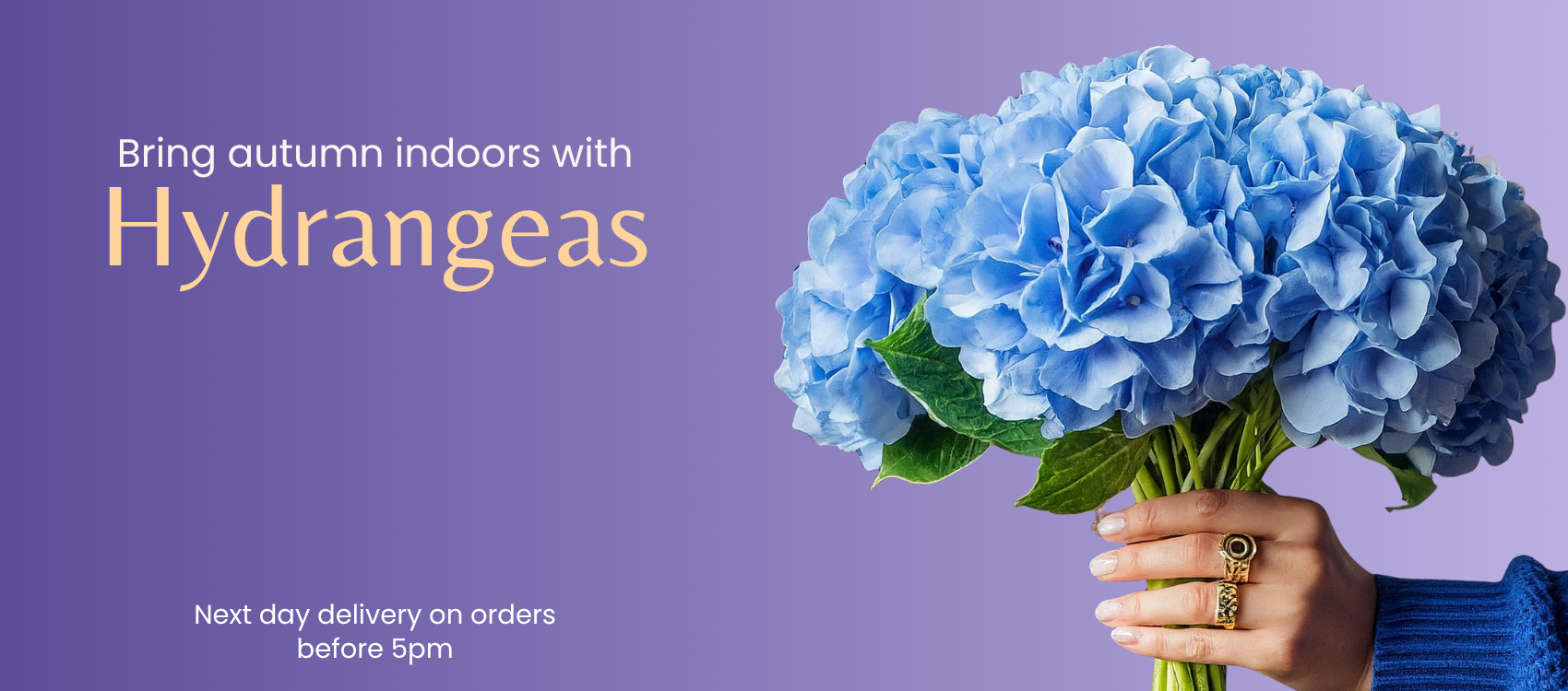 Bring autumn indoors with Hydrangeas - Flowers by Flourish