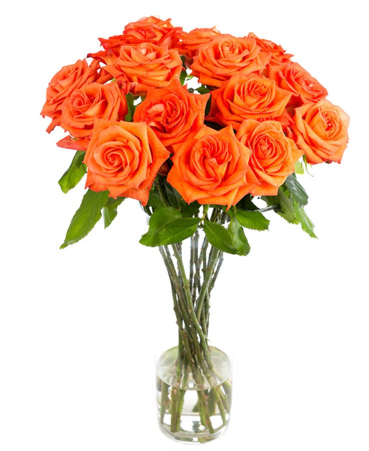 Subscription Flowers - Roses - Orange