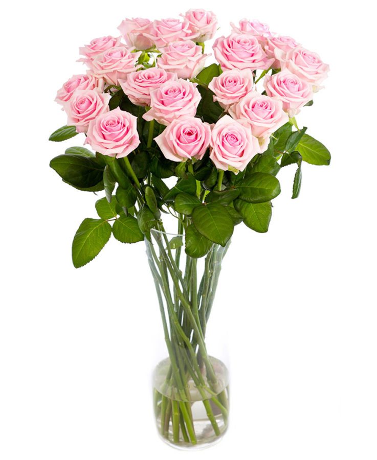 Subscription Flowers - Roses - Pink