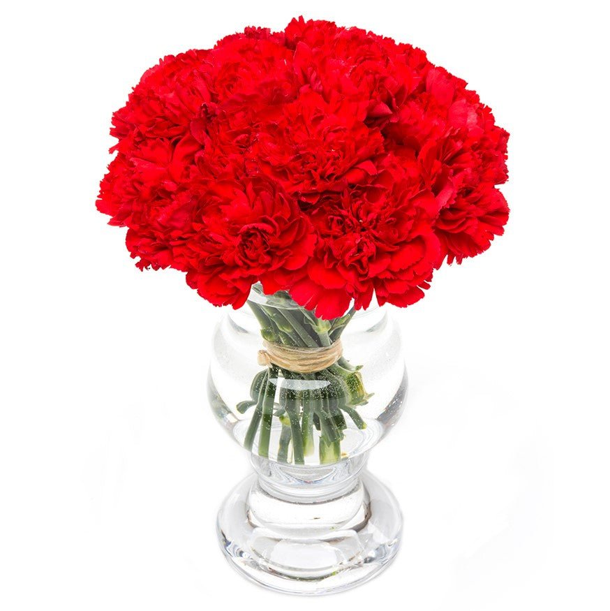 Square - Carnations - Red