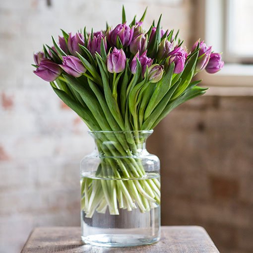 
                      
                        Square---Double---Lilac-Tulips
                      
                    