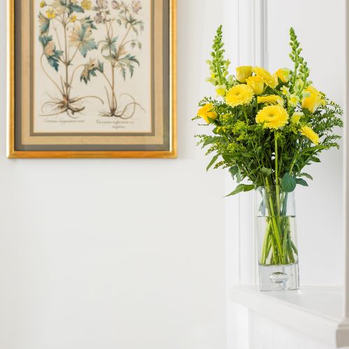 6 Months of Flowers