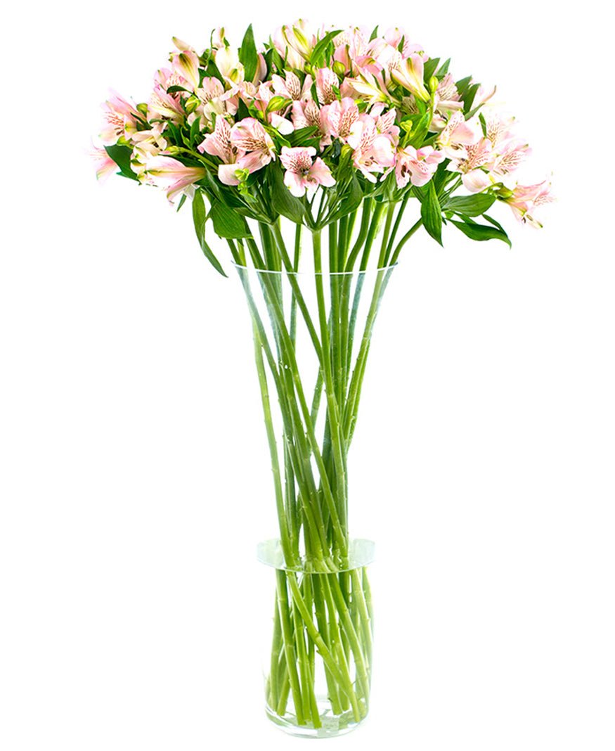 Alstroemeria - Florists Choice