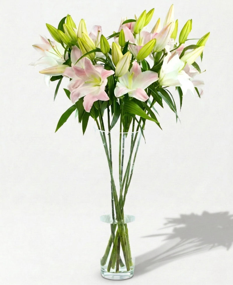 Oriental Lilies