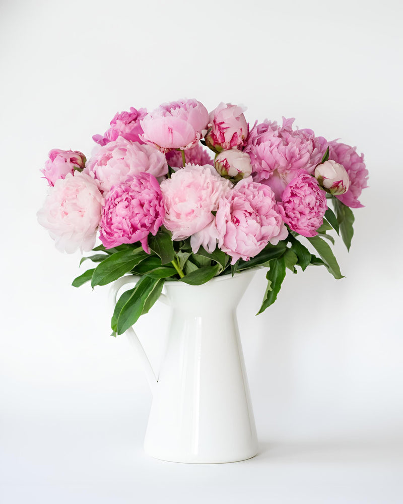 Peonies