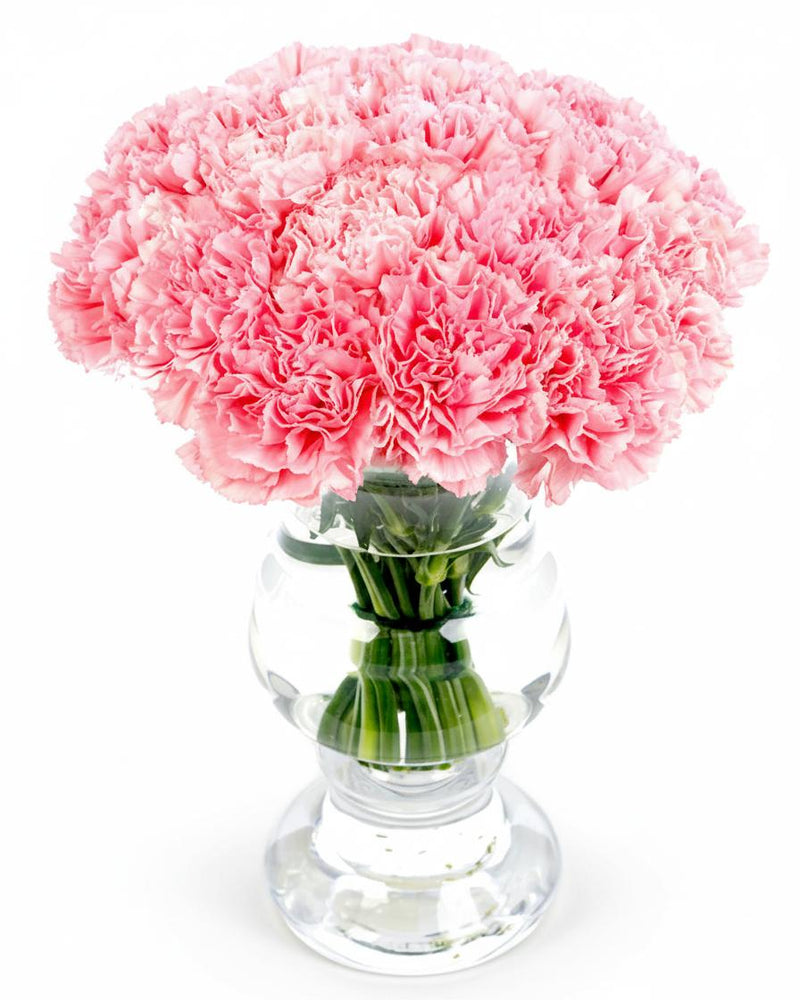 Something Tender and Pink