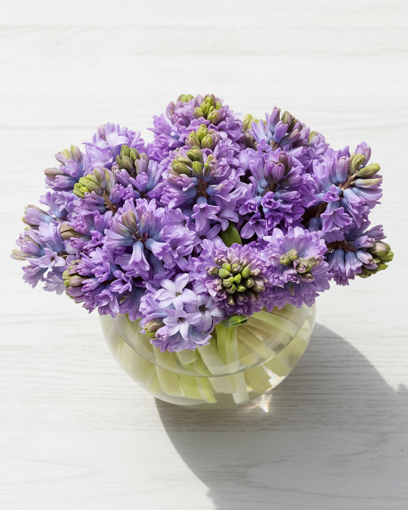 Hyacinths