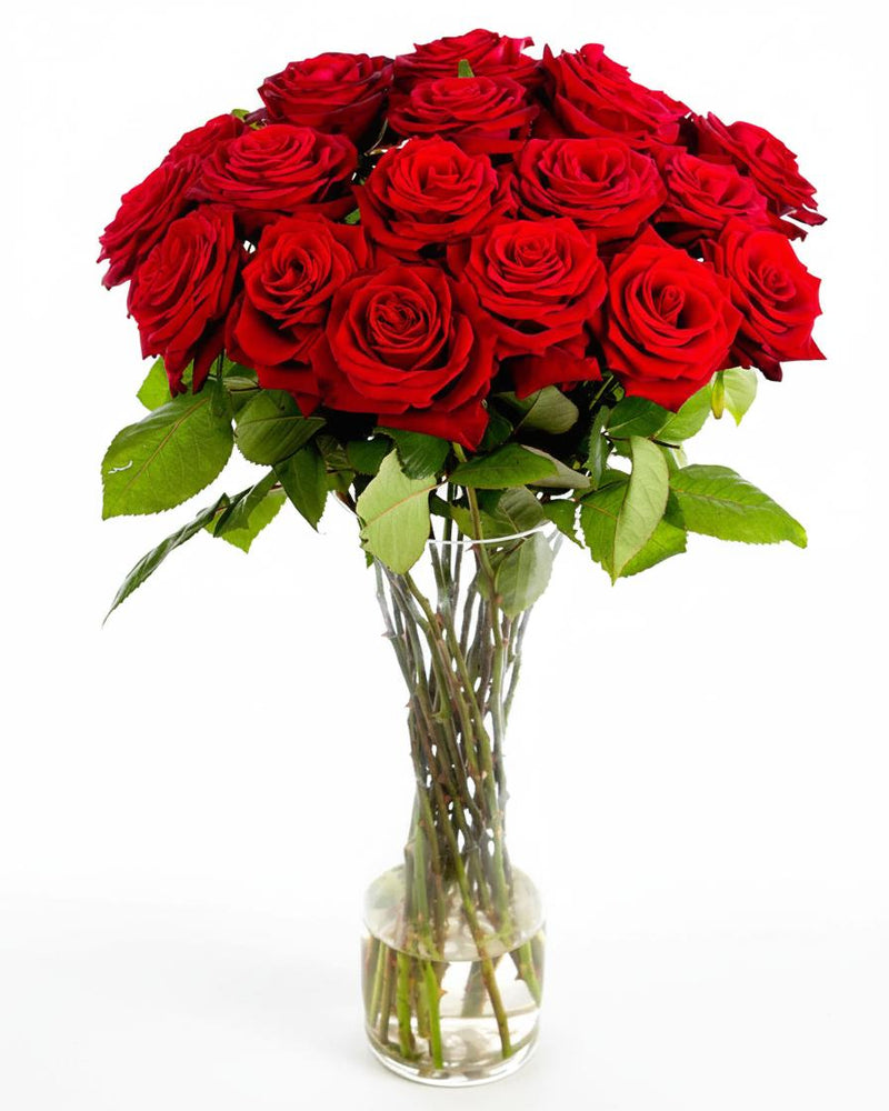 Roses