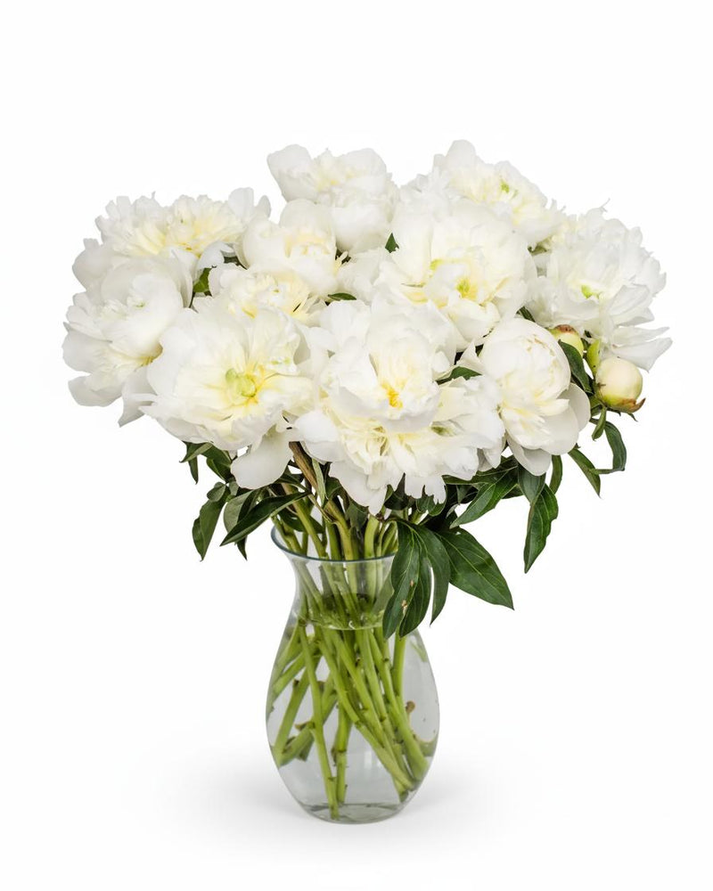 Something Softly Beautiful